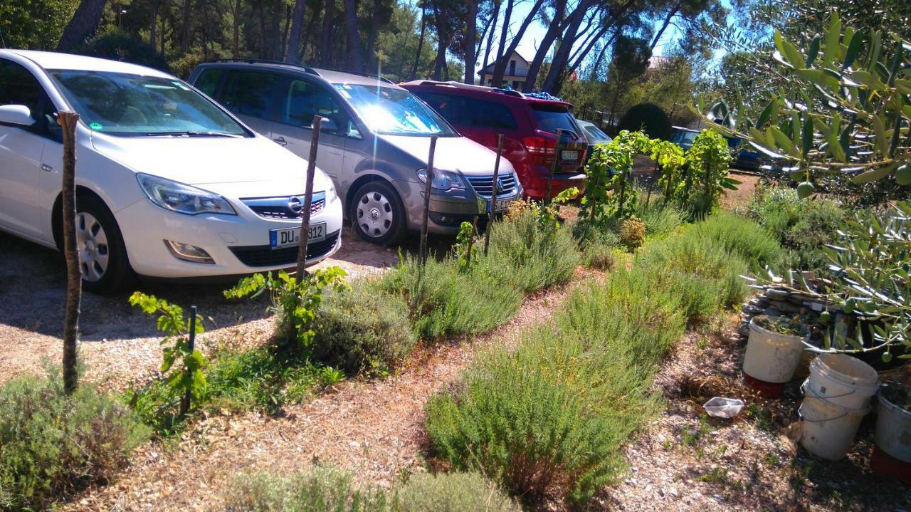Apartmani Nimcevic Biograd Na Moru Zewnętrze zdjęcie